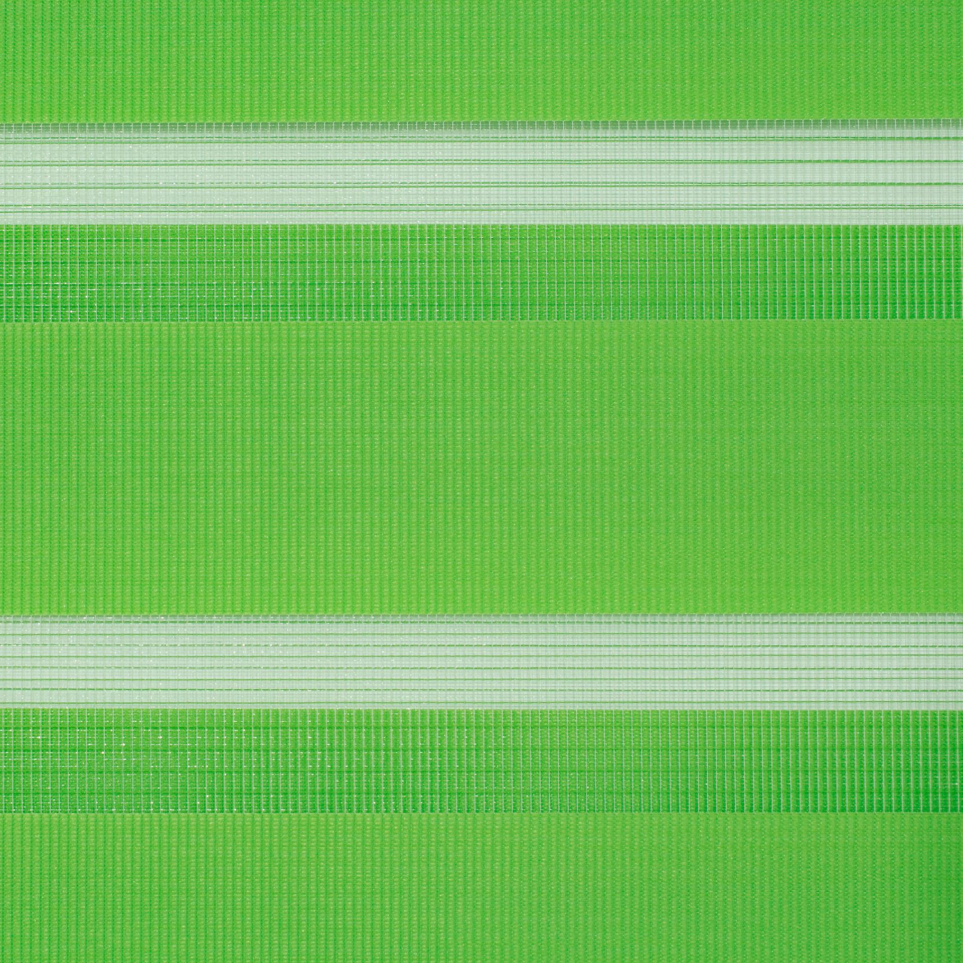 LICHTBLICK Doppelrollo Duo grün B/L: ca. 90x150 cm
