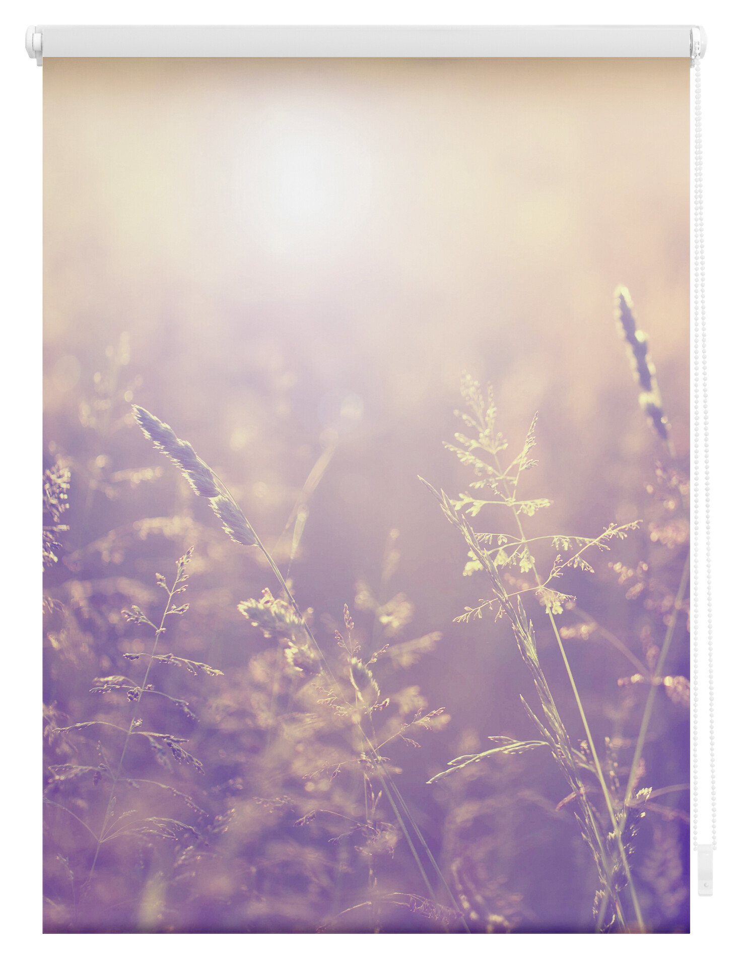 LICHTBLICK Rollo Sommerabend orange B/L: ca. 70x150 cm