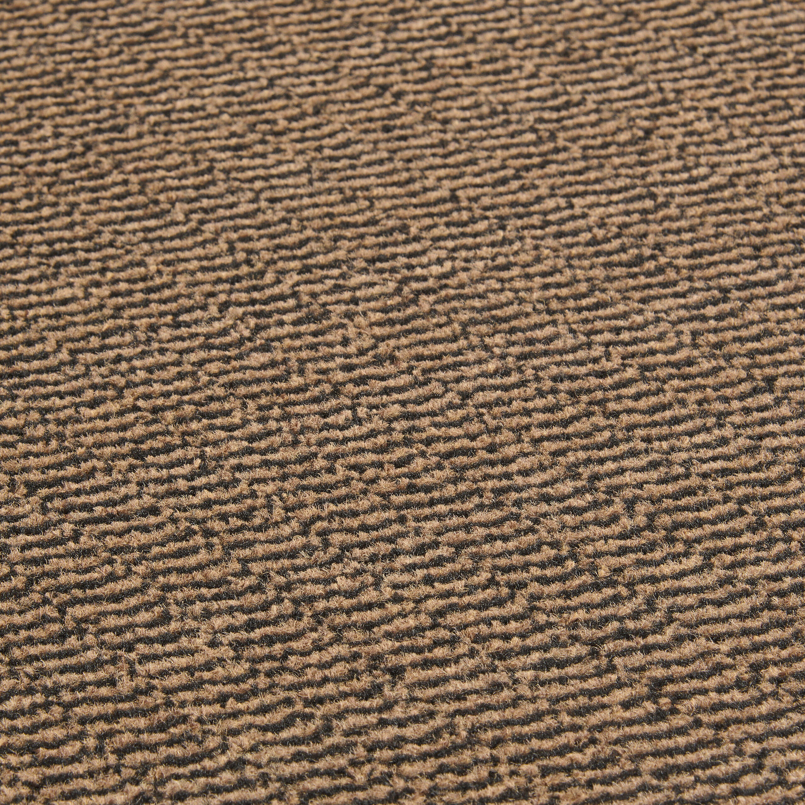 Schmutzfangmatte Spectrum braun B/L: ca. 60x180 cm