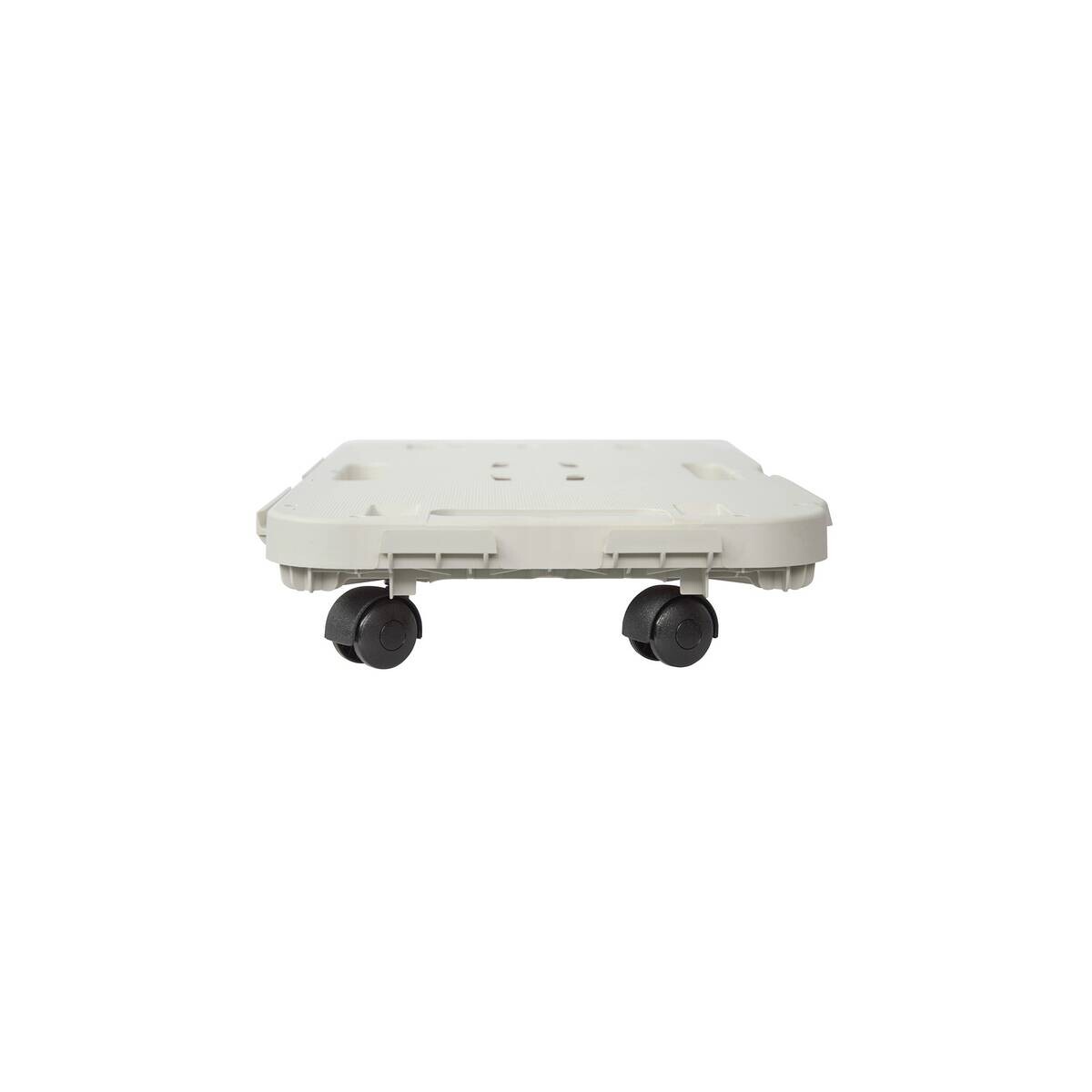 Dolly Transportroller grau B/H/L: ca. 29x12,5x48 cm