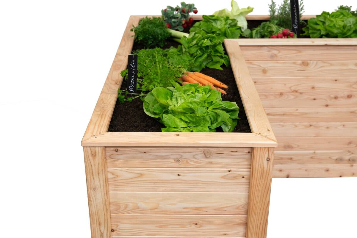 Westmann Hochbeet Klassik L natur Holz B/H/L: ca. 170x84x1705 cm