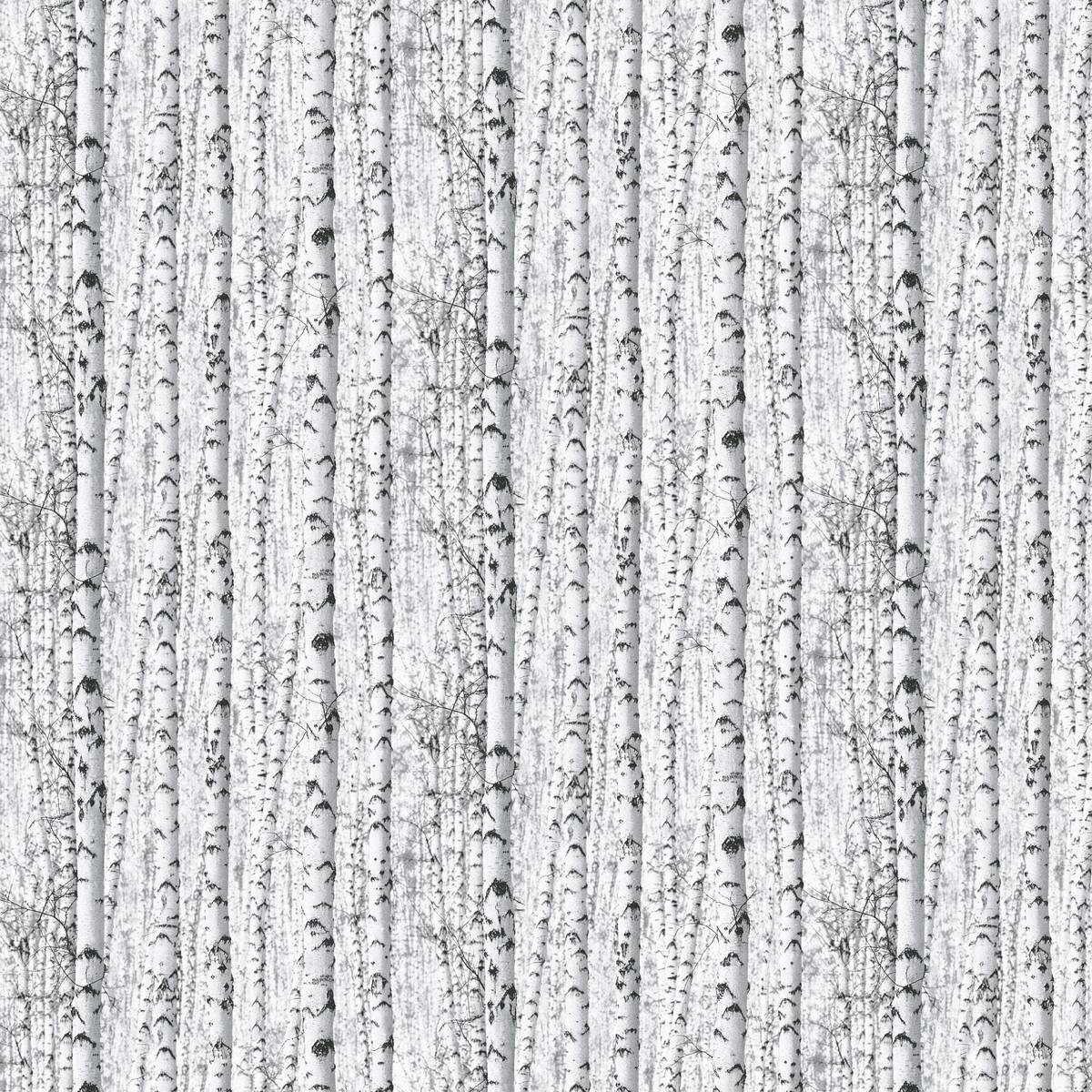 Papiertapete Birkenwald weiß schwarz B/L: ca. 53x1005 cm