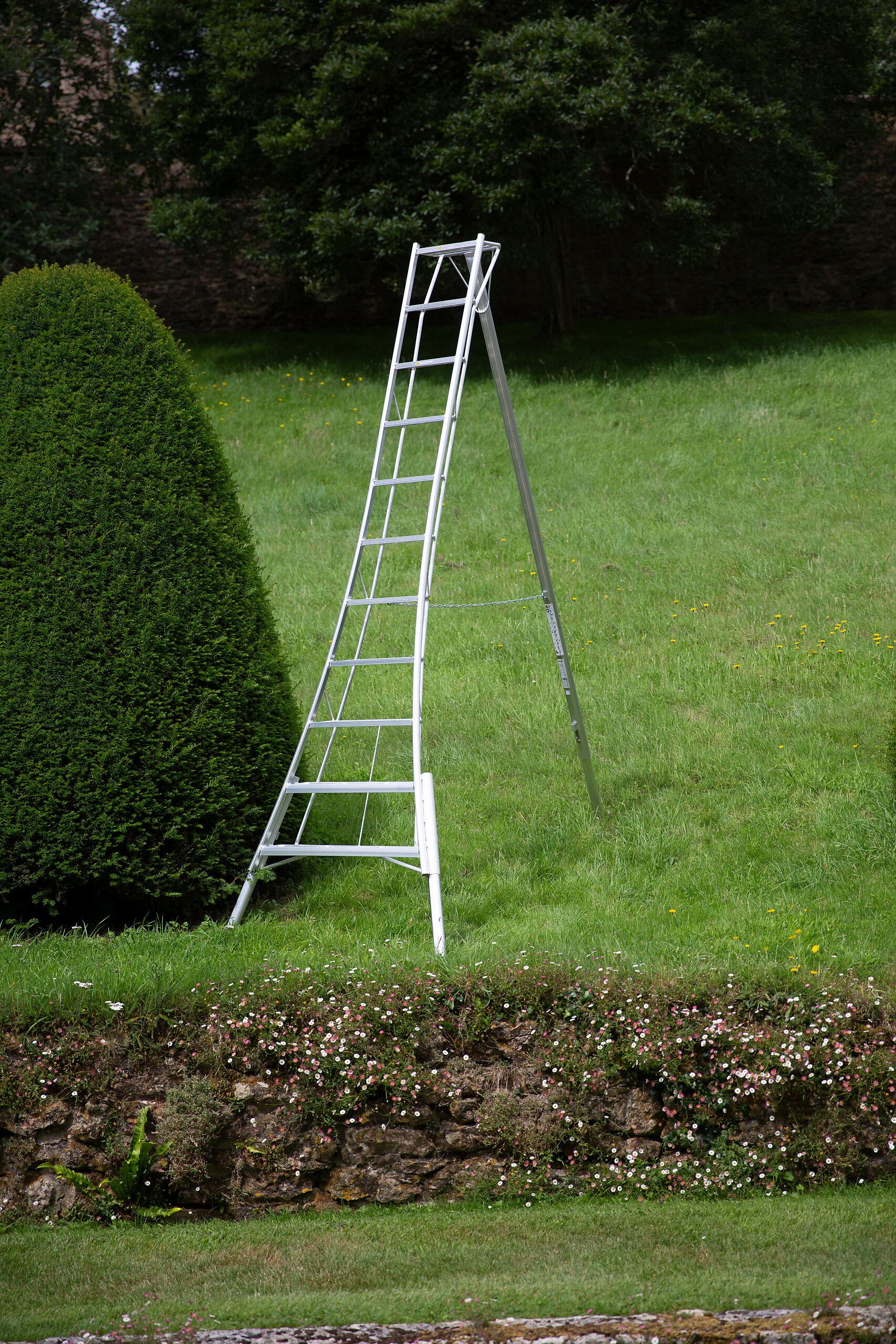 Niwaki Gartenleiter 3-Holm 3-Holm silber B/H/T: ca. 128x330x248 cm