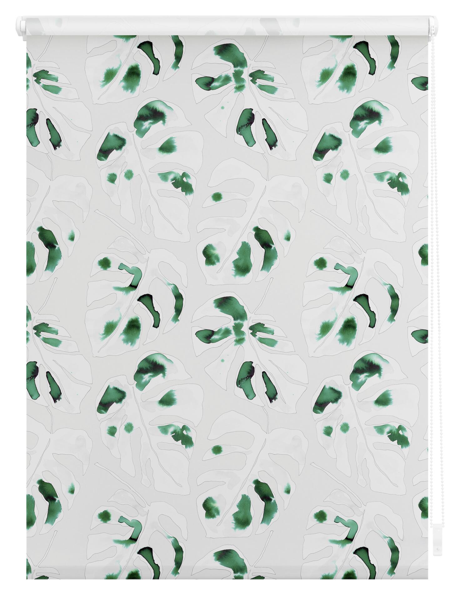 LICHTBLICK Verdunkelungsrollo Monstera grün B/L: ca. 60x150 cm