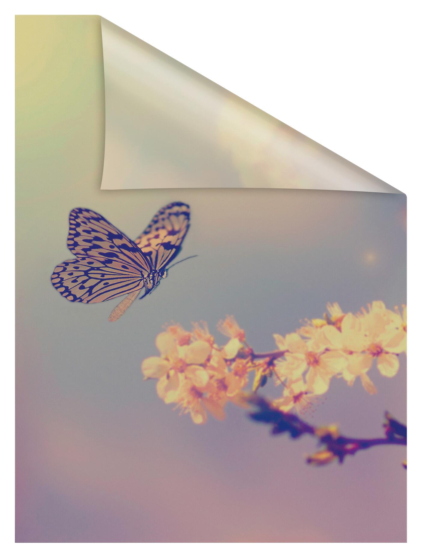 LICHTBLICK Fensterfolie Schmetterling Schmetterling Schmetterling orange B/L: ca. 100x100 cm