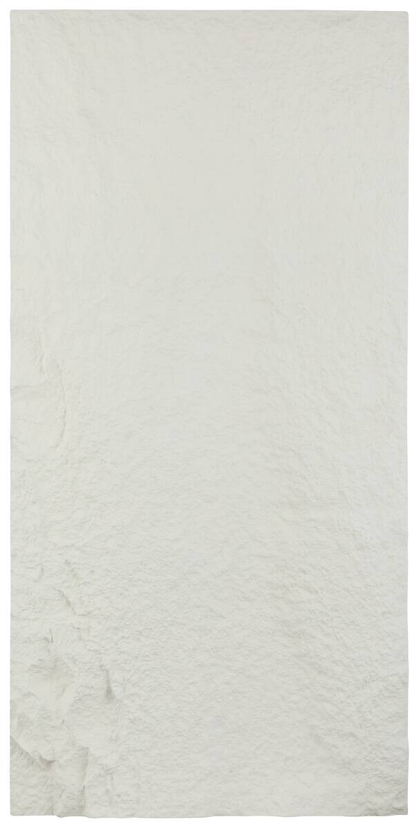 bhp Wandpaneel PU Stone Paneel Hanui weiß L/B/H: ca. 120x60x3 cm pro Stück