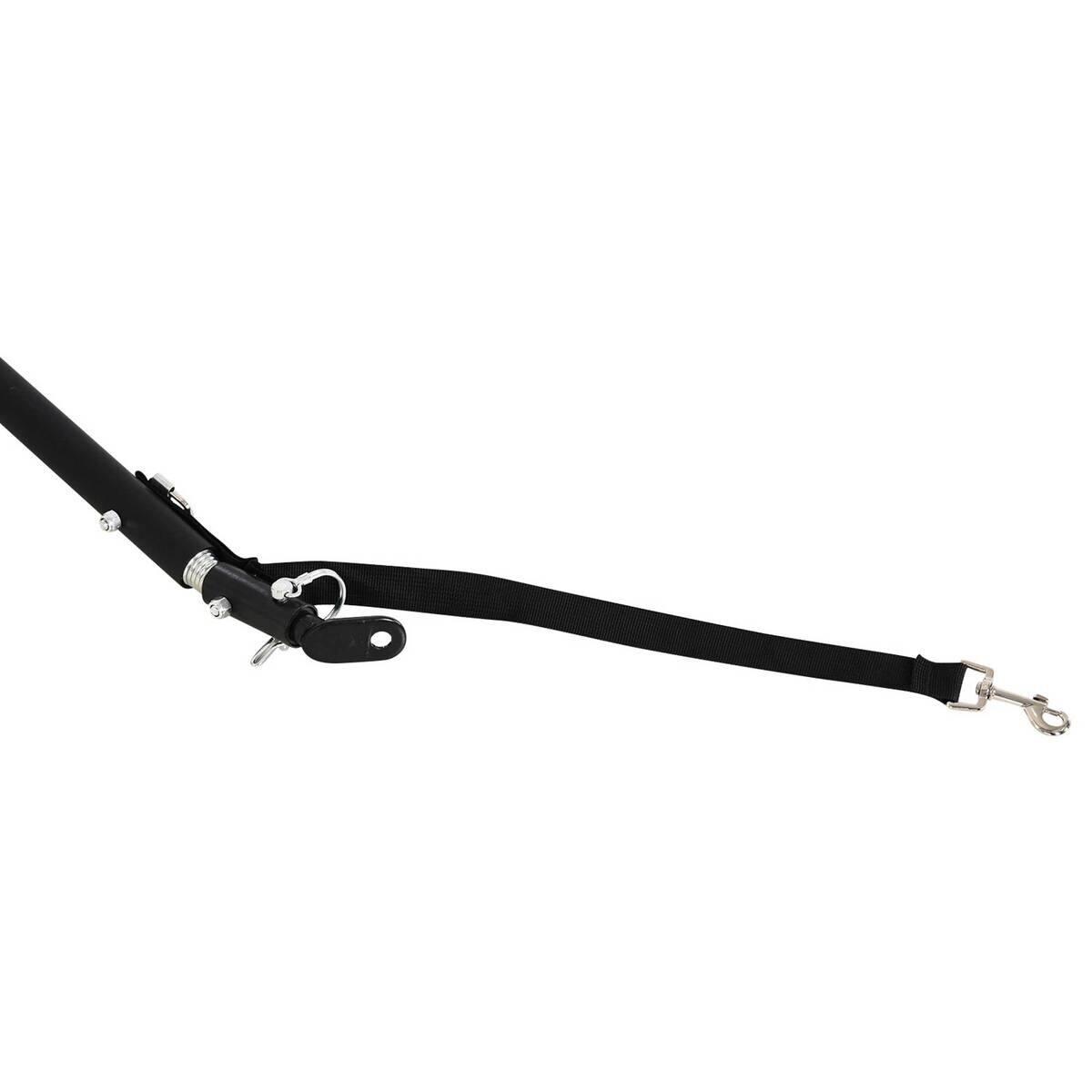 HOMCOM Fahrradanhänger schwarz schwarz B/H/L: ca. 715x139x49 cm