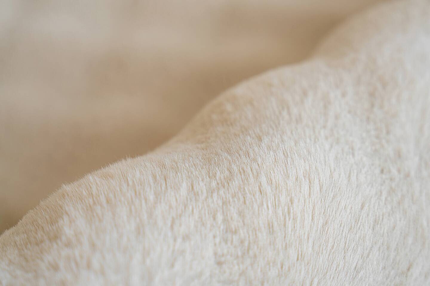 Padiro Hochflorteppich Hailey 125 creme B/H/L: ca. 200x3x290 cm