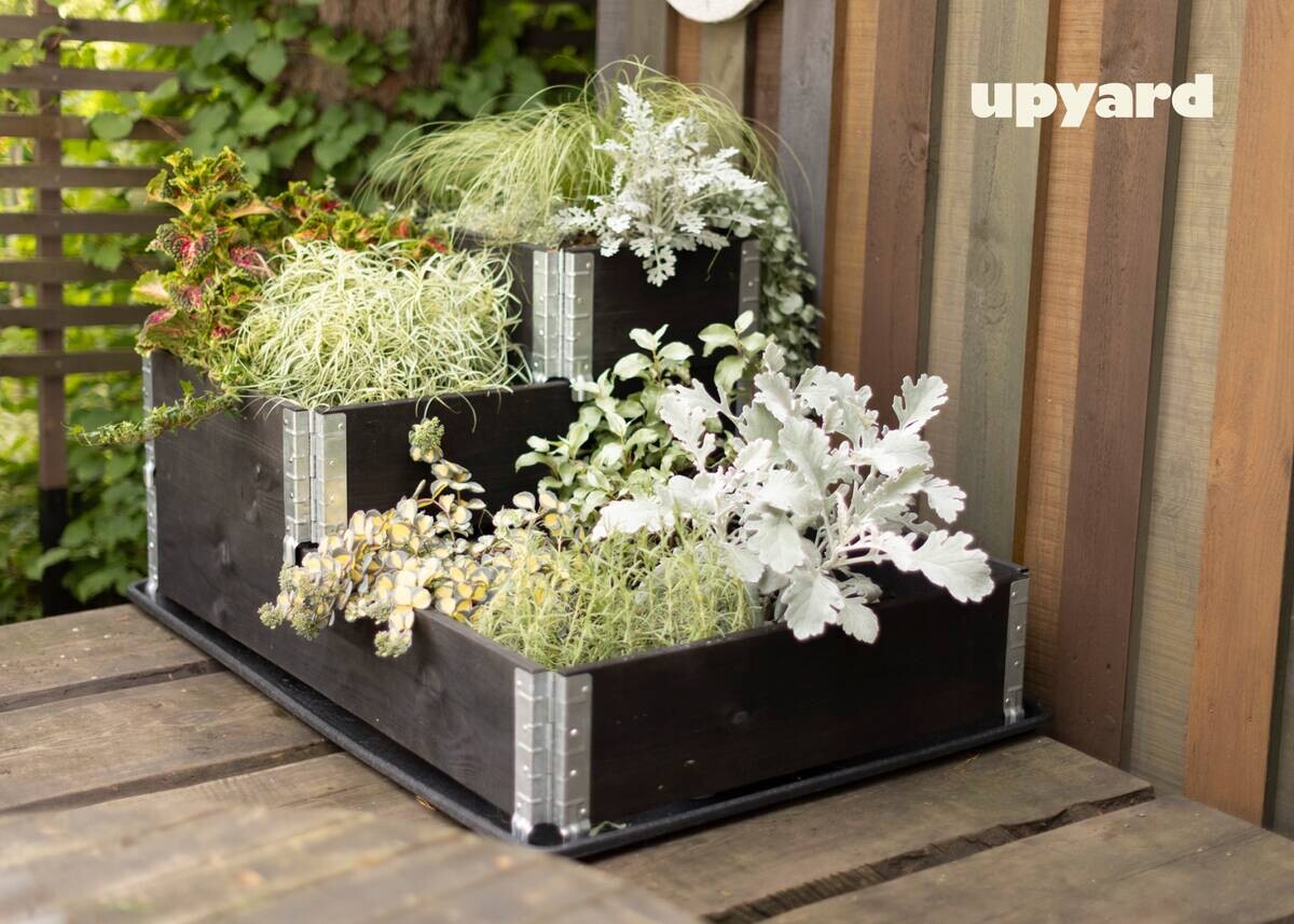 UPYARD Stufenbeet INDUSTRIAL schwarz Holz B/L: ca. 40x60 cm