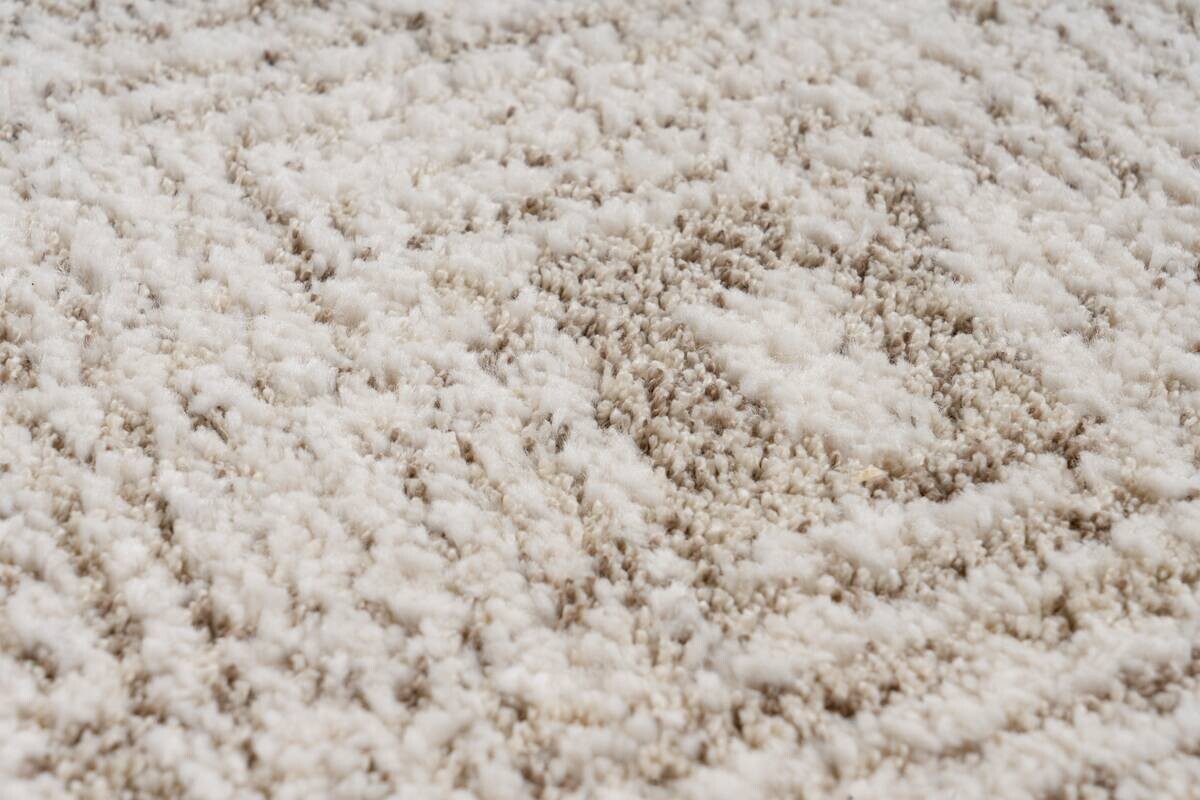 Obsession Teppich My Parma creme B/L: ca. 200x290 cm