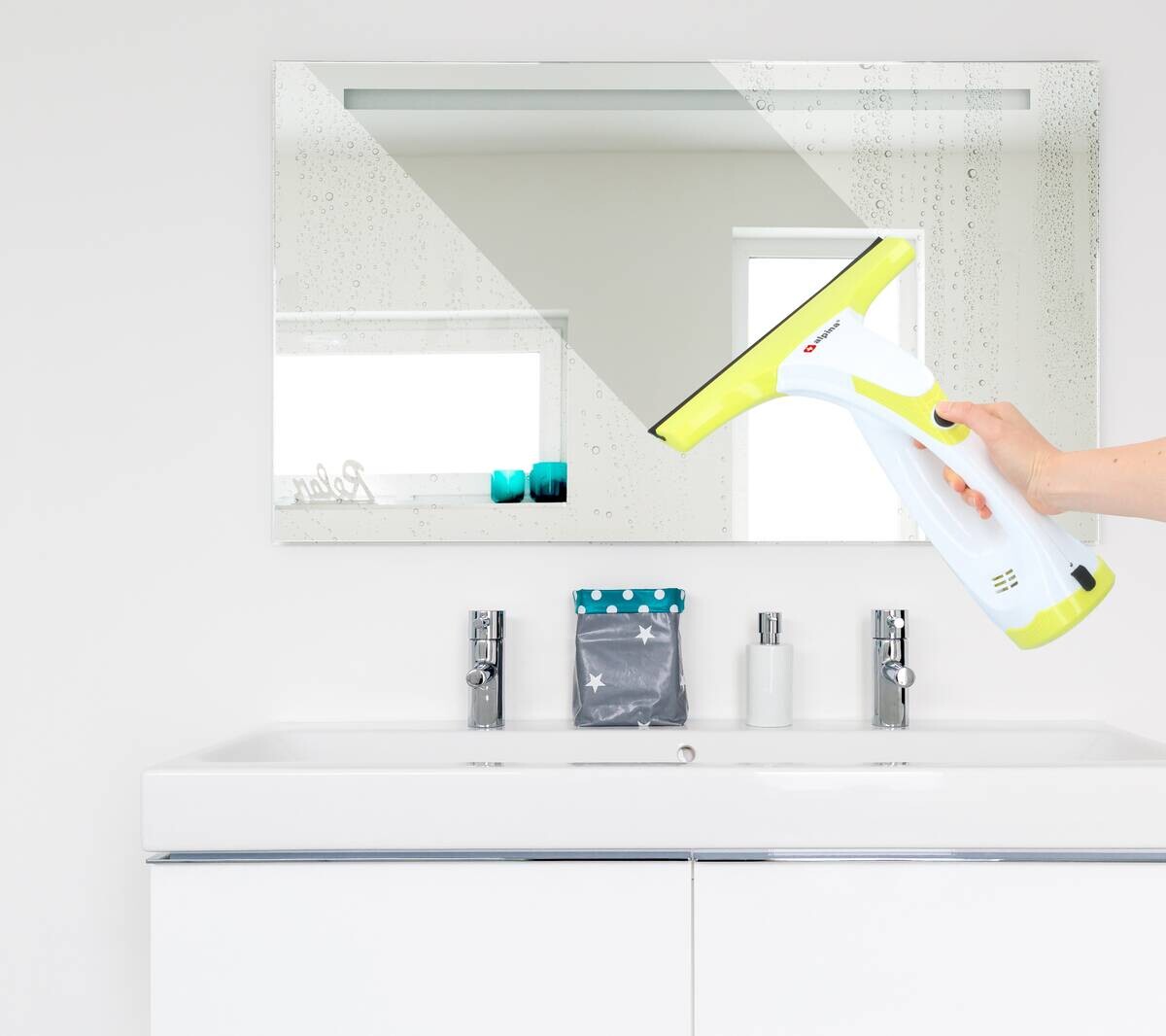 alpina Fenstersauger