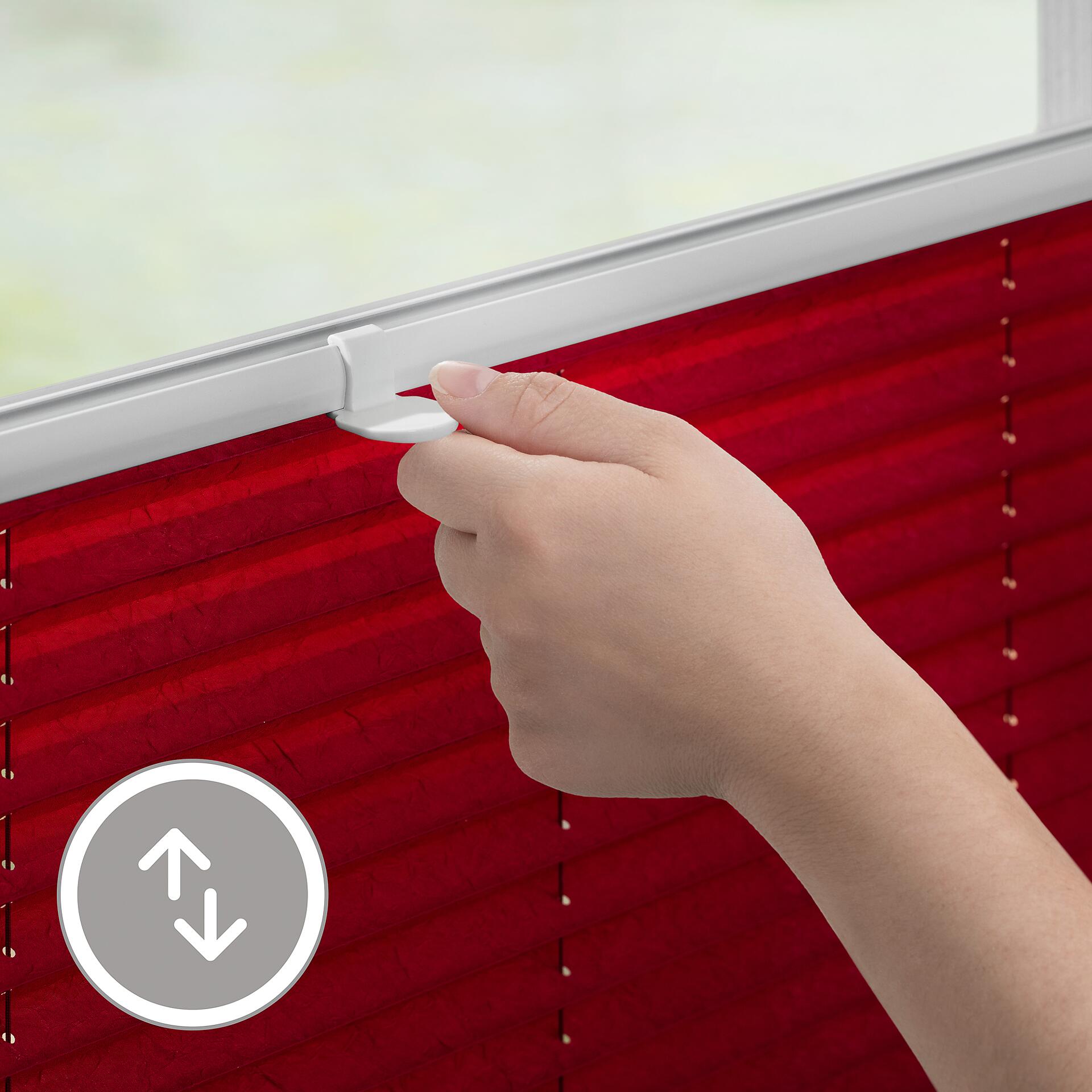 LICHTBLICK Spannplissee brombeer B/L: ca. 75x130 cm