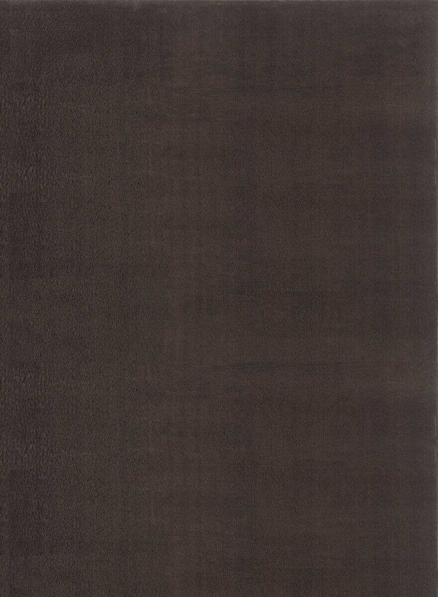 Teppich Cozy braun B/H/L: ca. 80x12x150 cm