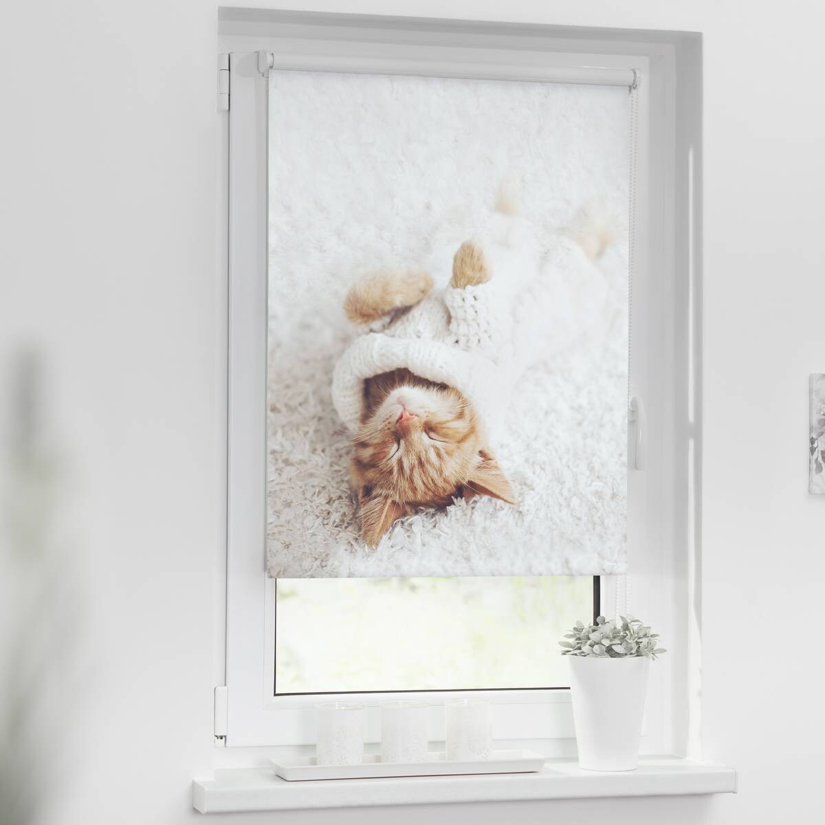LICHTBLICK Verdunkelungsrollo Sleepy Cat weiß B/L: ca. 90x150 cm