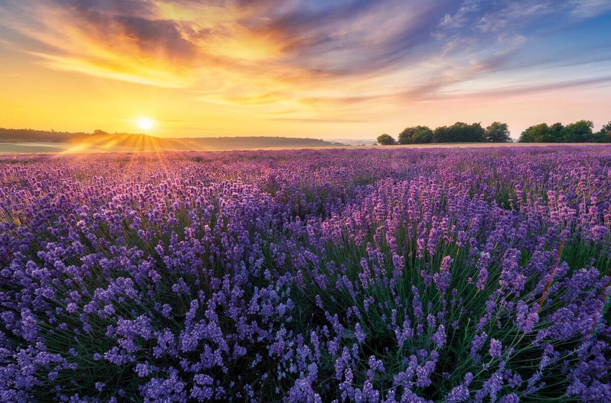 Keilrahmenbild Sonnenuntergang B/H: ca. 118x78 cm