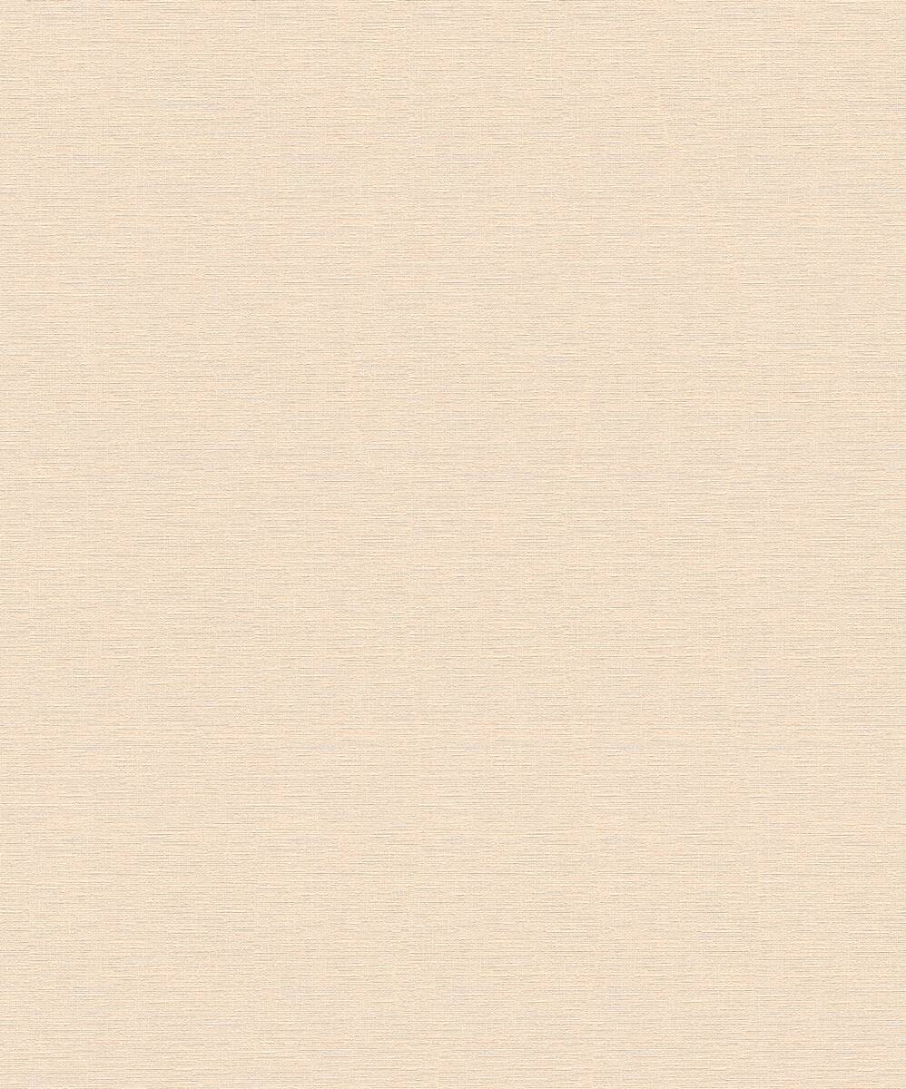 A.S.Creation Vliestapete Björn Uni creme B/L: ca. 53x1005 cm