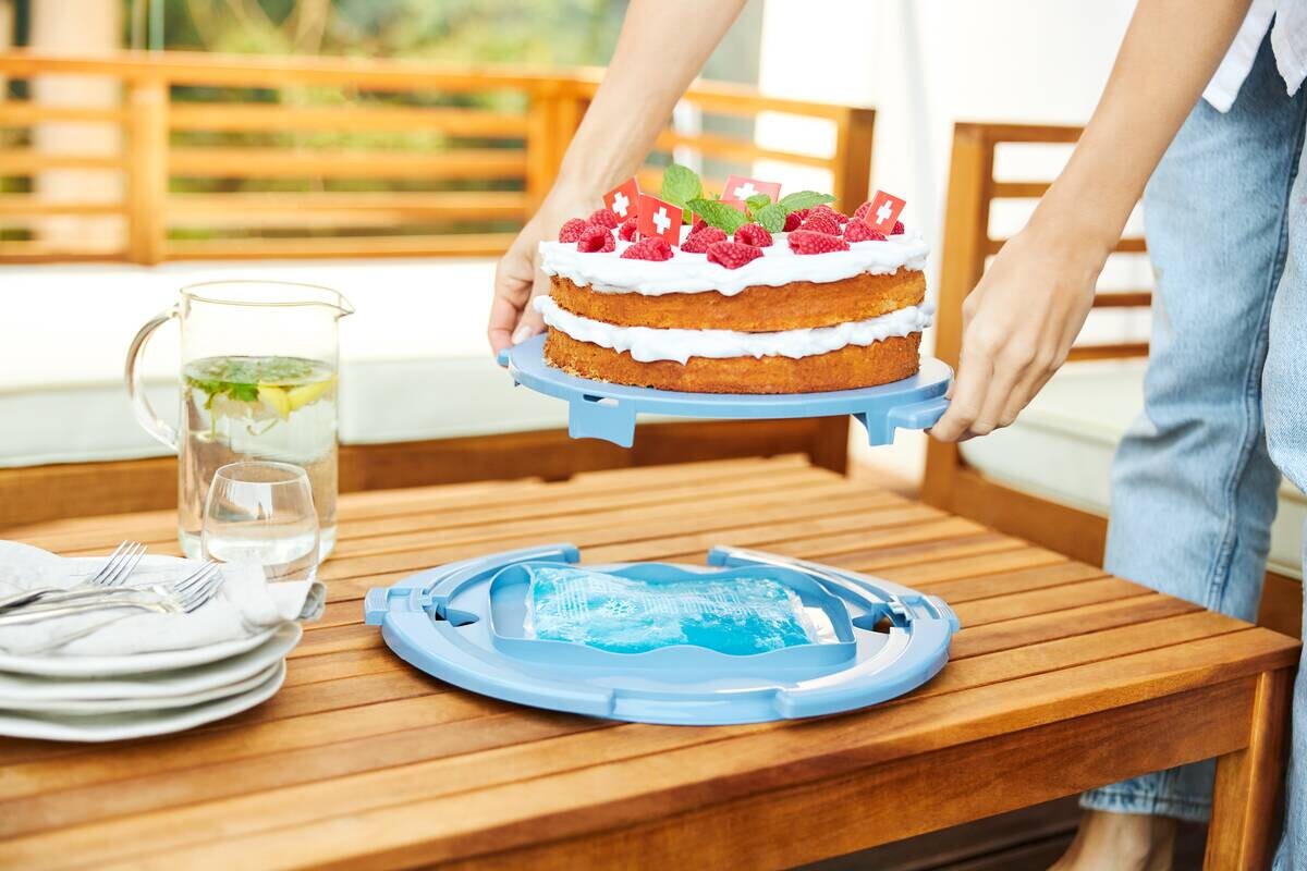 Rotho Tortenglocke COOL & FRESH blau B/H/L: ca. 34x16x38 cm