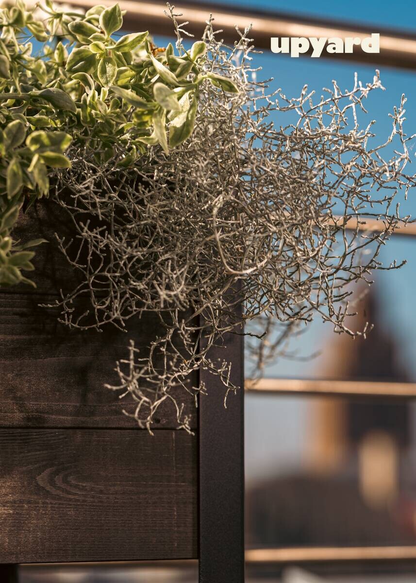 UPYARD Hochbeet MODERN schwarz Holz B/H/L: ca. 36x32x36 cm