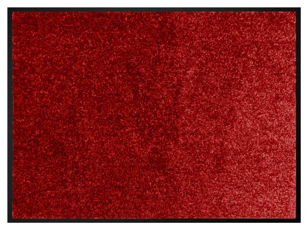 Schmutzfangmatte Alpha rot B/L: ca. 80x120 cm