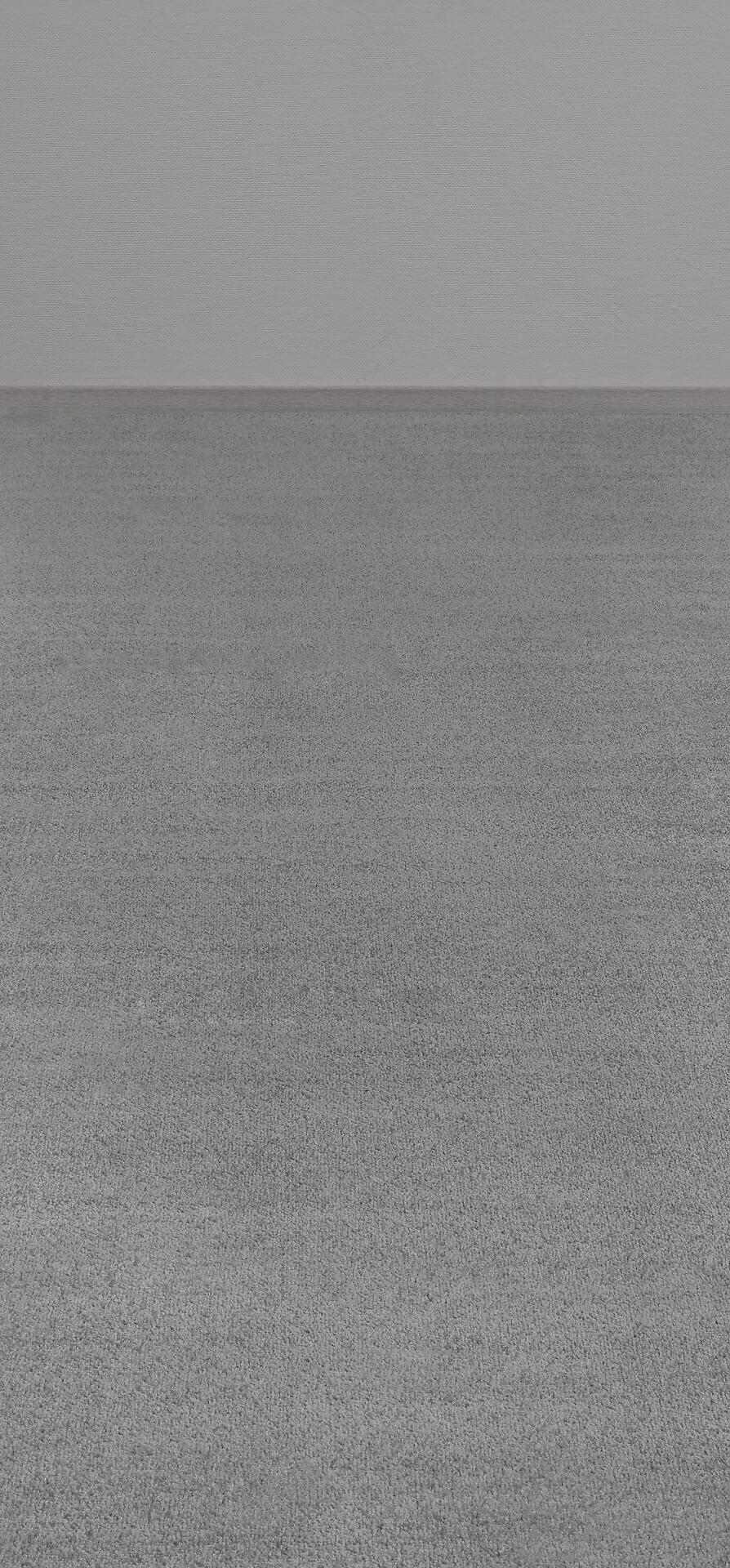 Teppichboden Dynasty grau B: ca. 500 cm pro m²