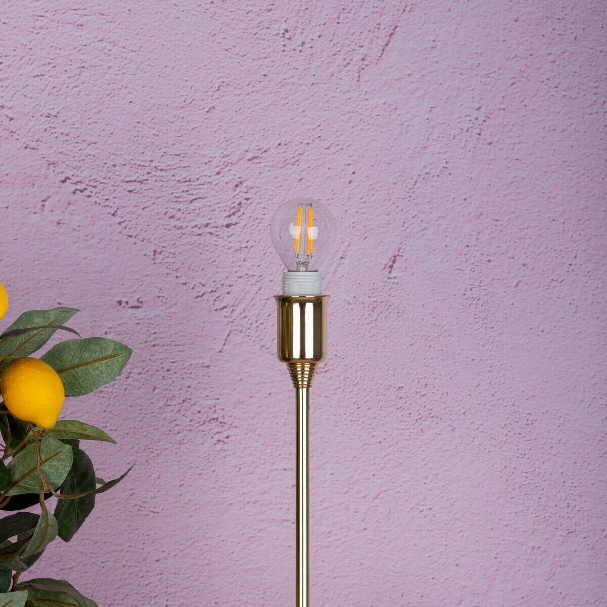 Näve Leuchten LED-Leuchtmittel 4139206 E14