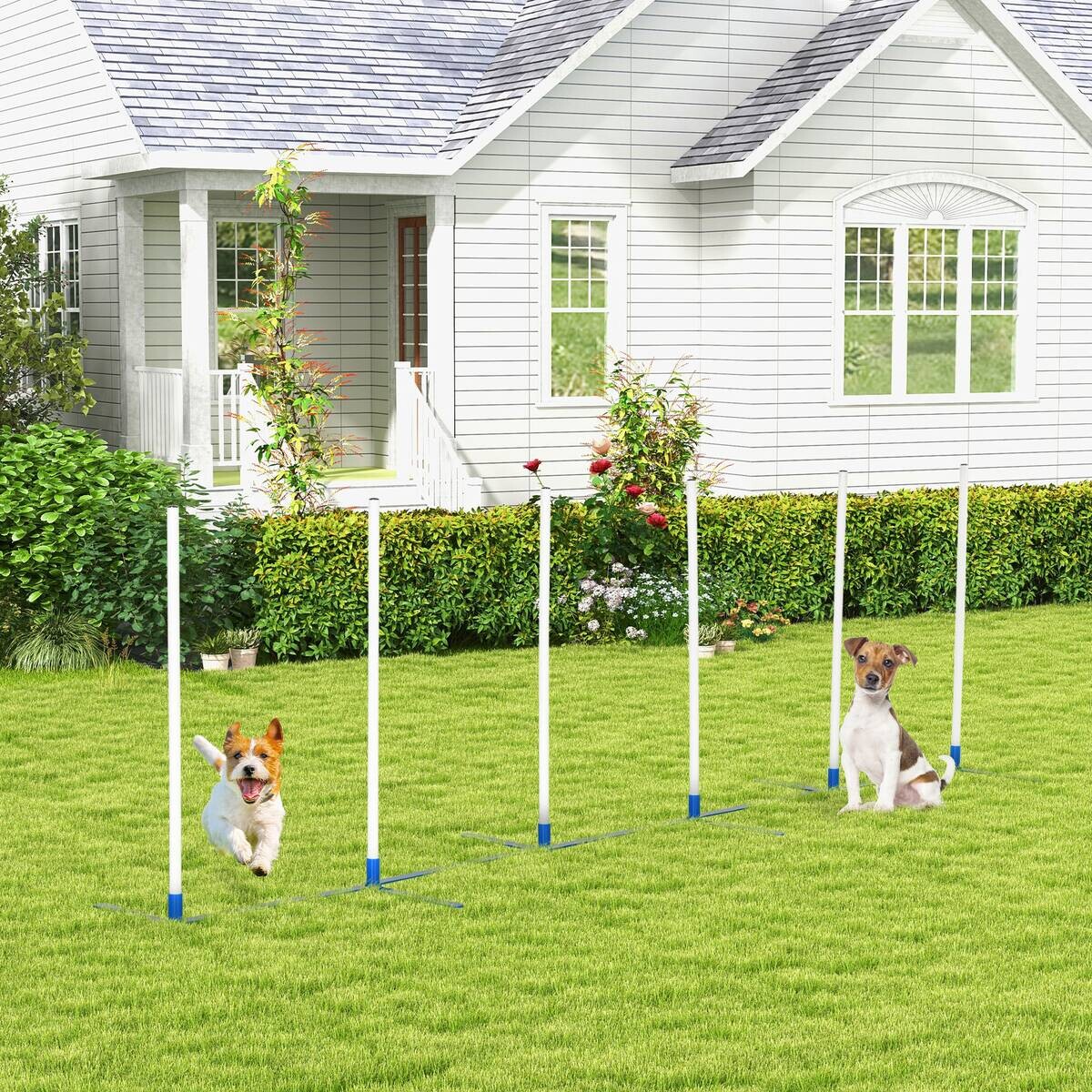 PawHut Hunde-Agility-Set blau Kunststoff B/H/L: ca. 60x94x305 cm