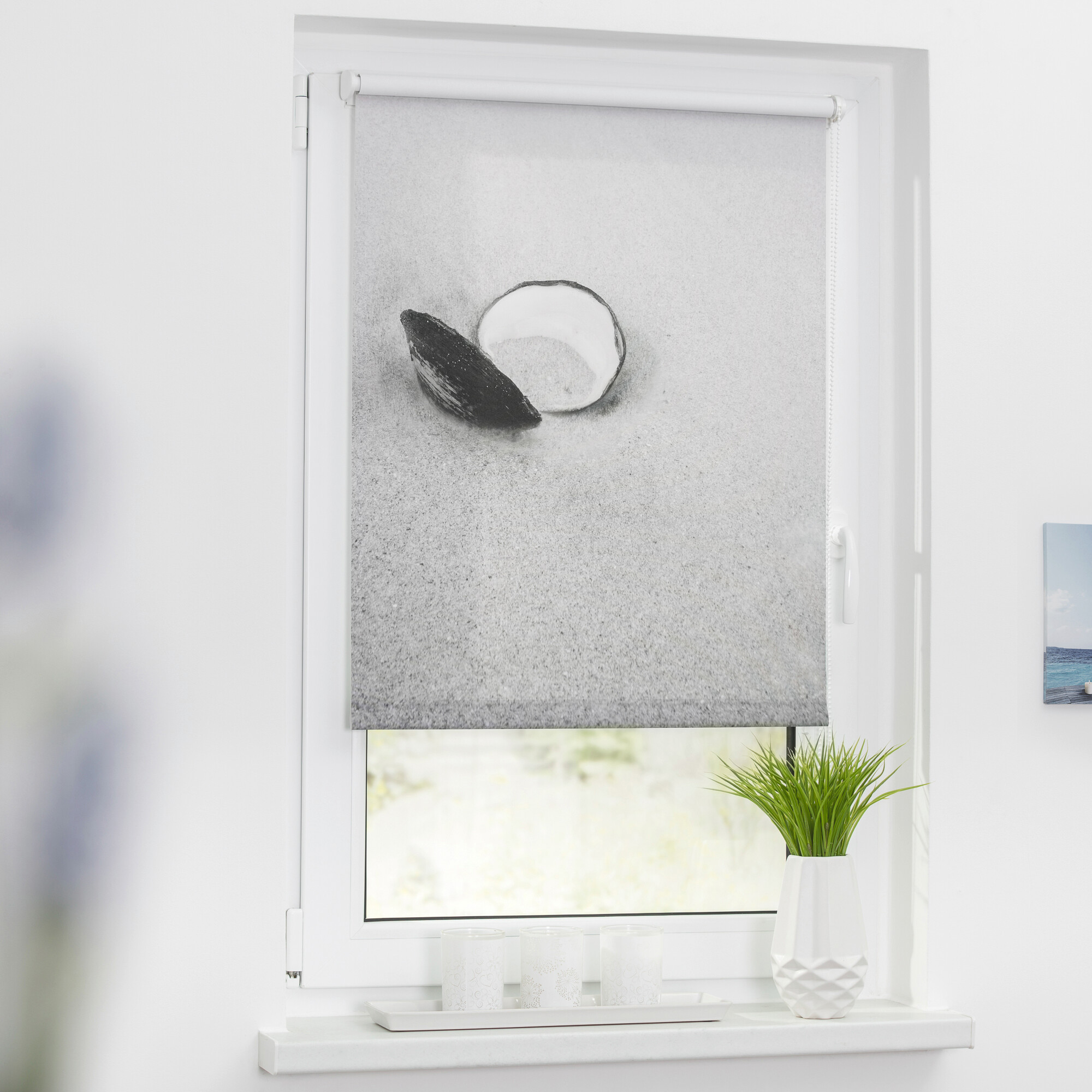 LICHTBLICK Rollo Muschel schwarz B/L: ca. 90x150 cm