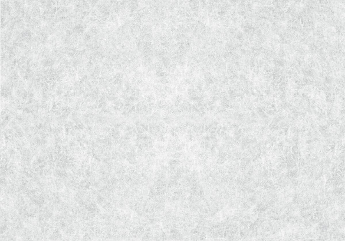 d-c-fix Fensterfolie Reispapier transparent weiß B/L: ca. 67,5x200 cm