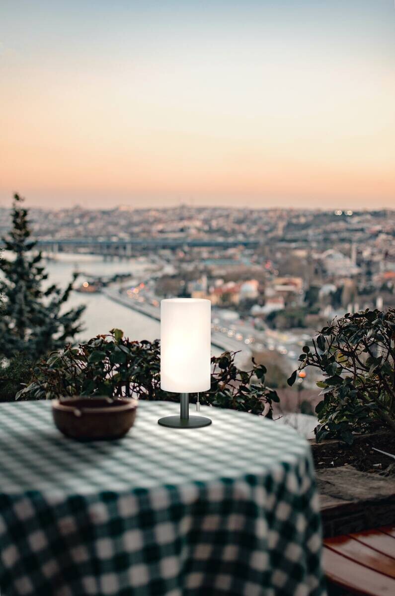 LED-Außenleuchte 850246 Larino anthrazit weiß H/D: ca. 28x12 cm