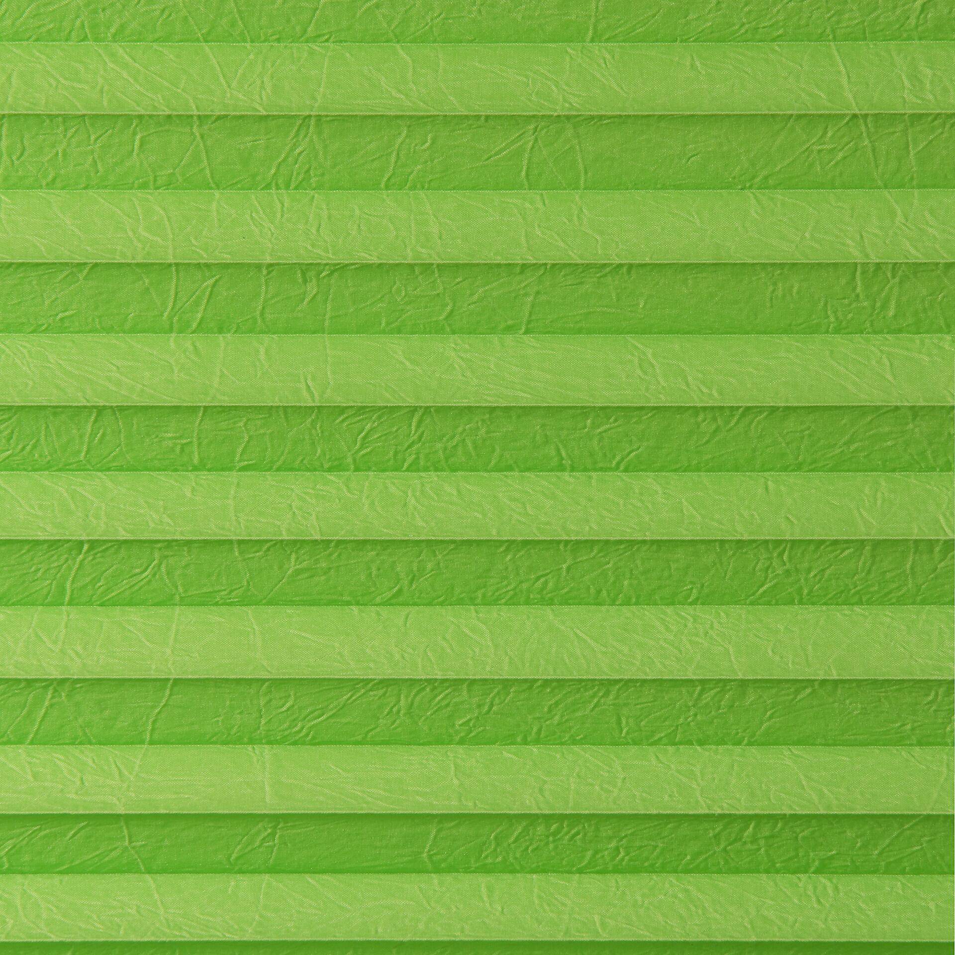 LICHTBLICK Spannplissee grün B/L: ca. 85x130 cm