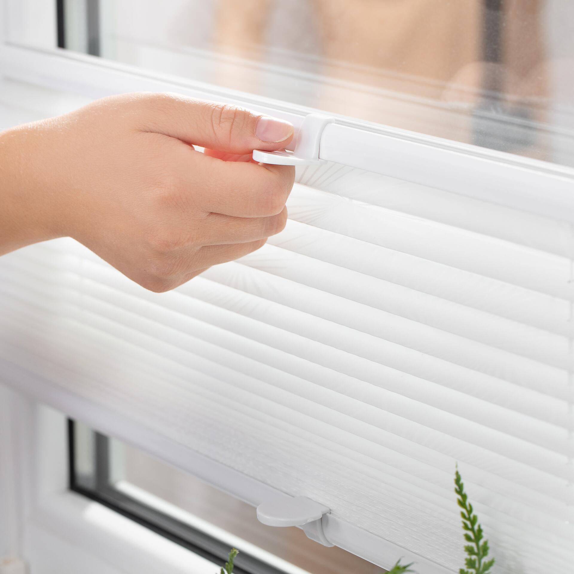 LICHTBLICK Spannplissee Pflanze weiß B/L: ca. 120x130 cm