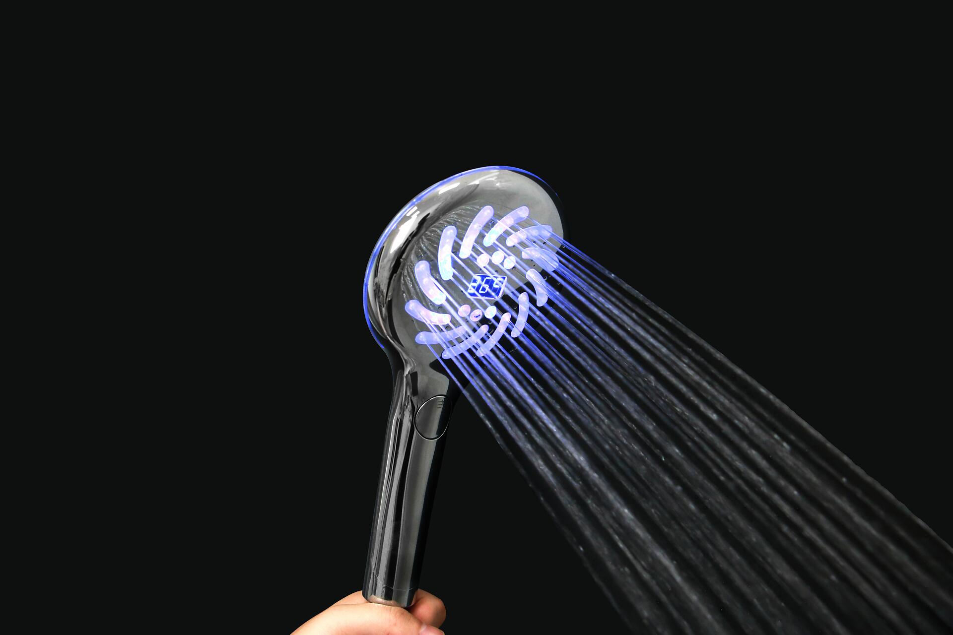 DUSCHWELL Handbrause Chrom B/H/T: ca. 13x28x3,5 cm