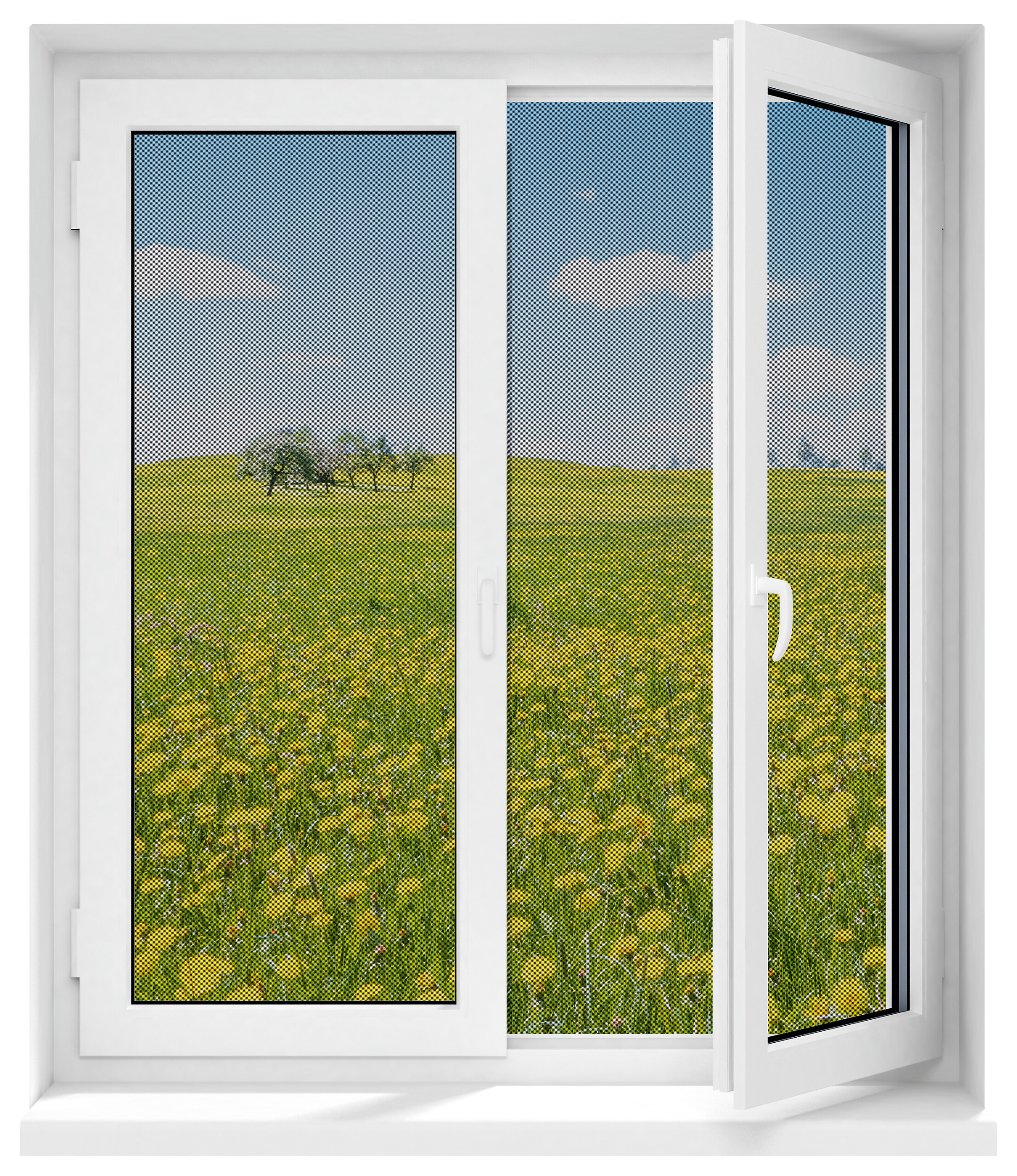 EASYmaxx Fliegengitter schwarz B/L: ca. 130x150 cm