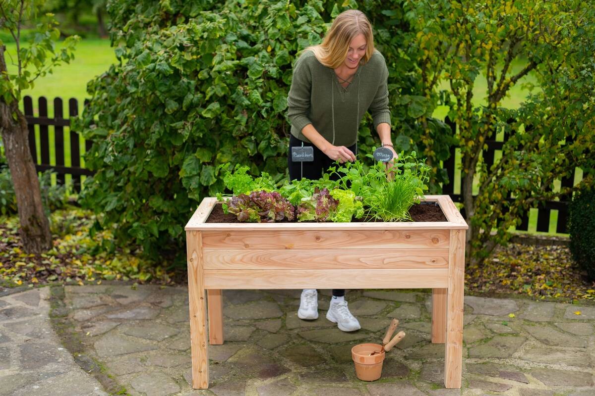 Westmann Stelzenhochbeet natur Lärche H/T/L: ca. 75x65x120 cm