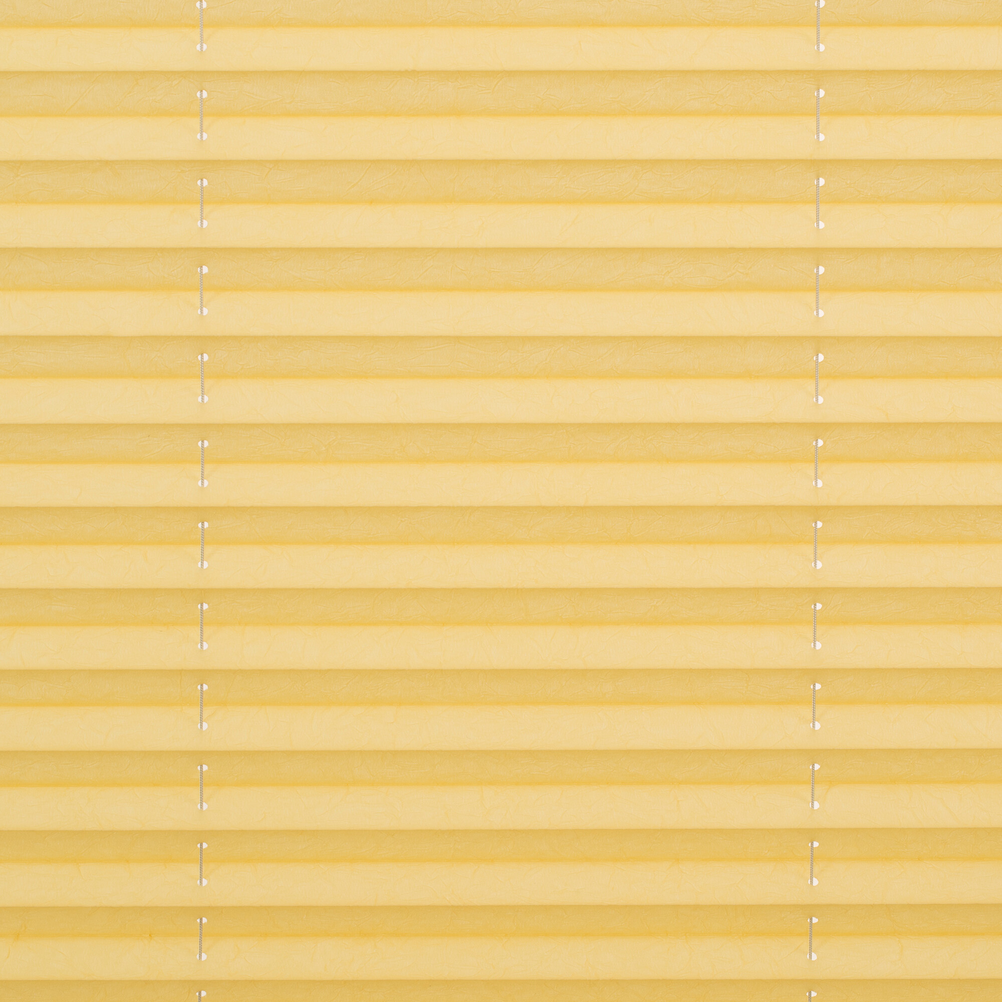 LICHTBLICK Spannplissee gelb B/L: ca. 95x130 cm