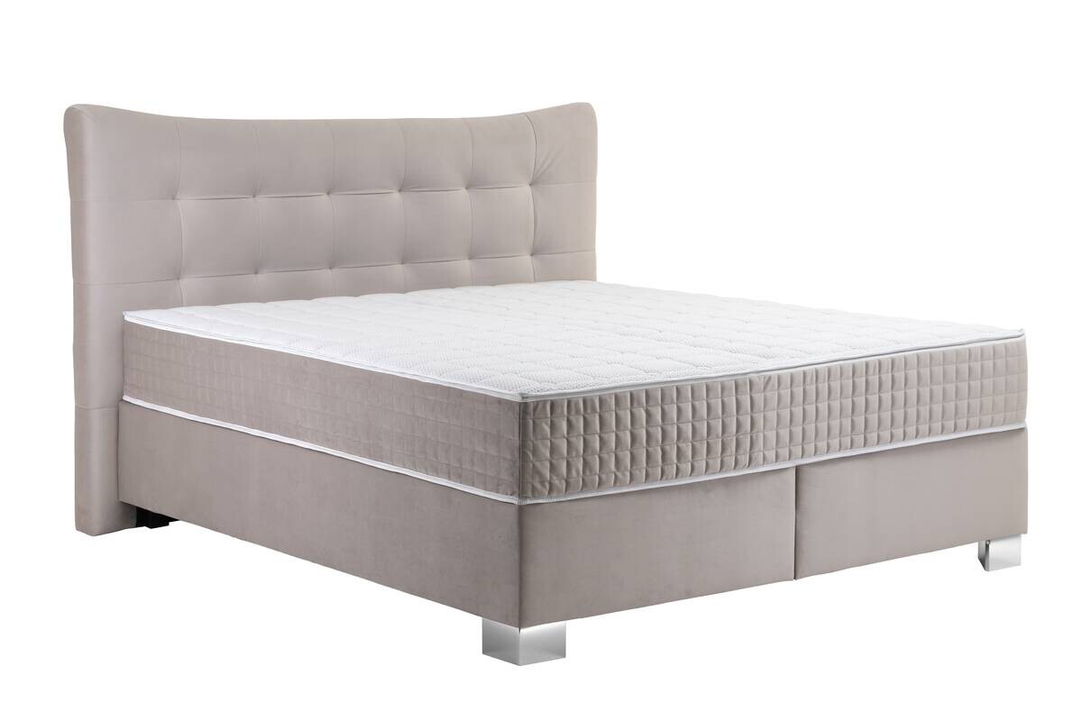 Boxspringbett Domino creme Liegefläche B/L: ca. 180x200 cm