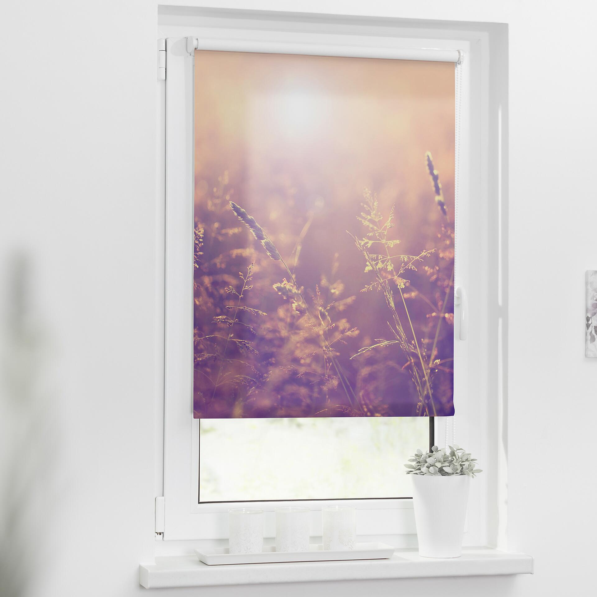 LICHTBLICK Rollo Sommerabend orange B/L: ca. 70x150 cm