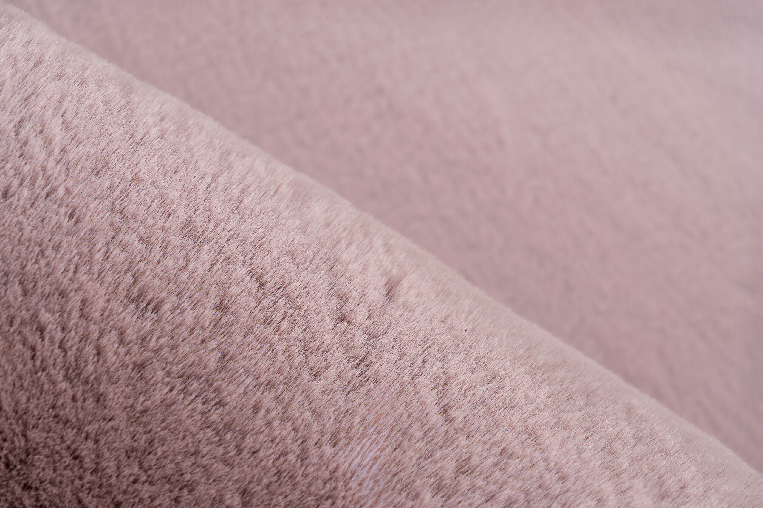 Arte Espina Hochflorteppich Rabbit 125 lila B/H/L: ca. 180x4,5x280 cm