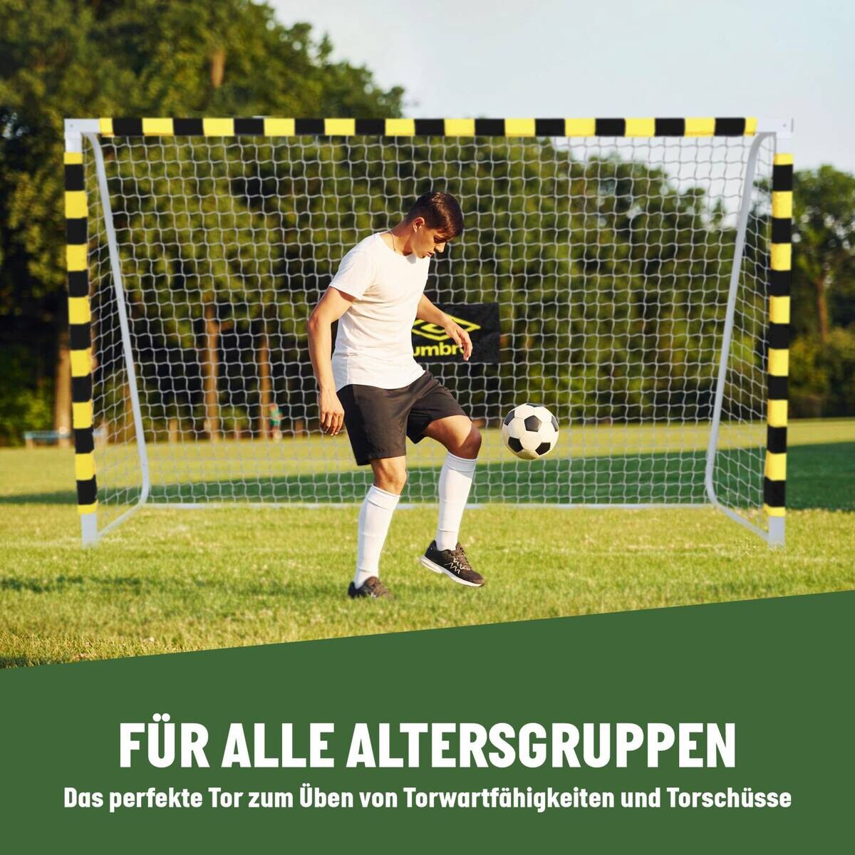 Fußballtor schwarz B/H/T: ca. 300x200x110 cm