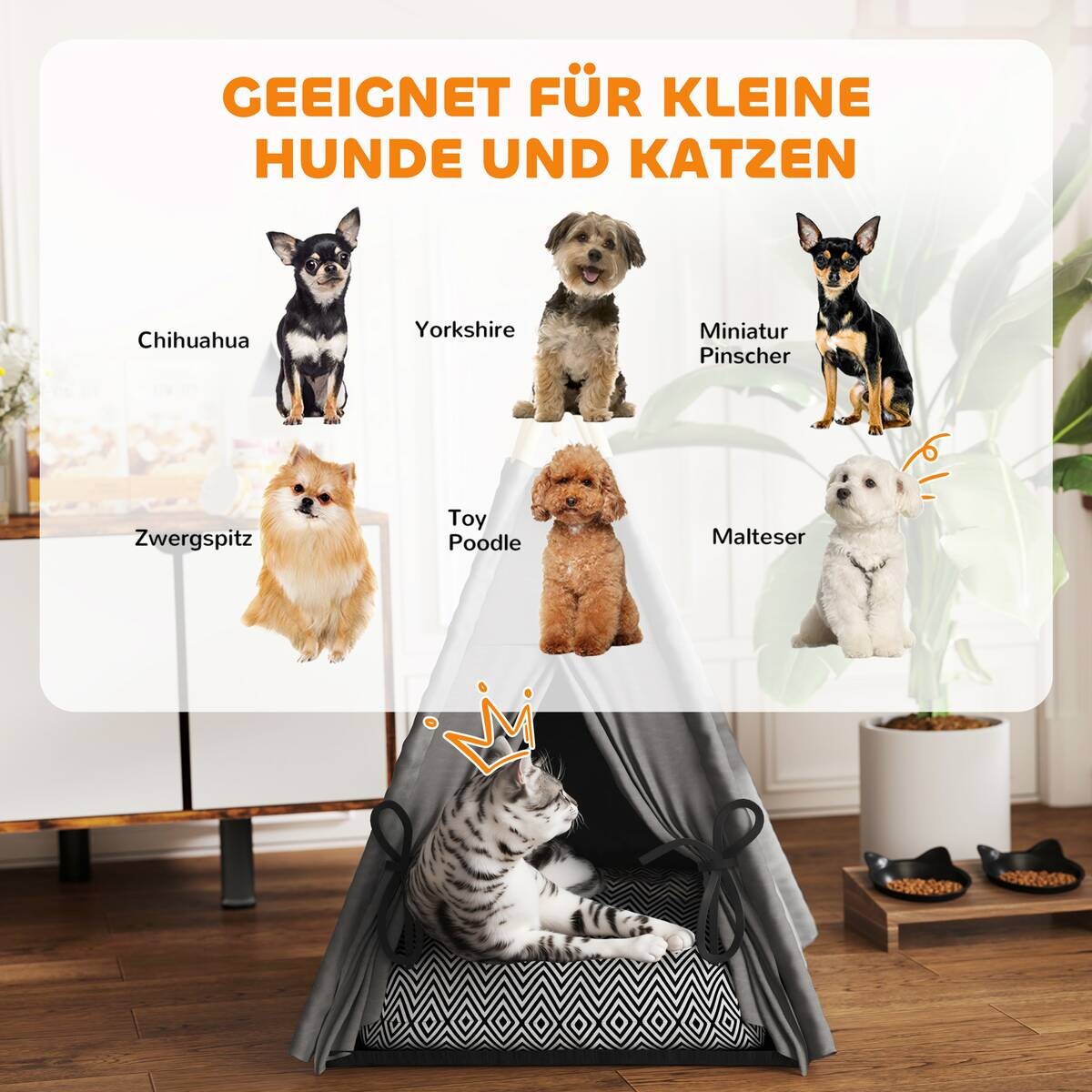 PawHut Katzenzelt grau Polyester B/H/L: ca. 60x76x60 cm