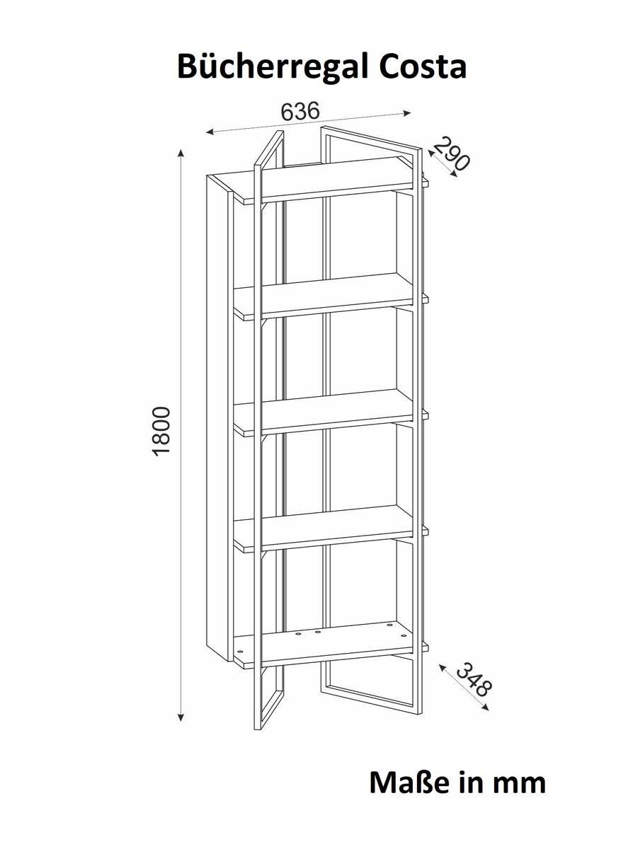 Regal Costa Eiche Nachbildung B/H/T: ca. 64x100x35 cm