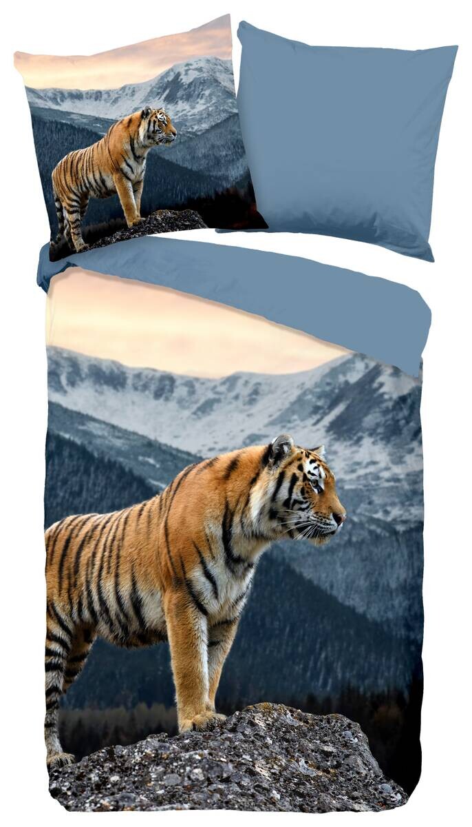 Microfaser Bettwäsche Skylar Multi Polyester B/L: ca. 135x200 cm