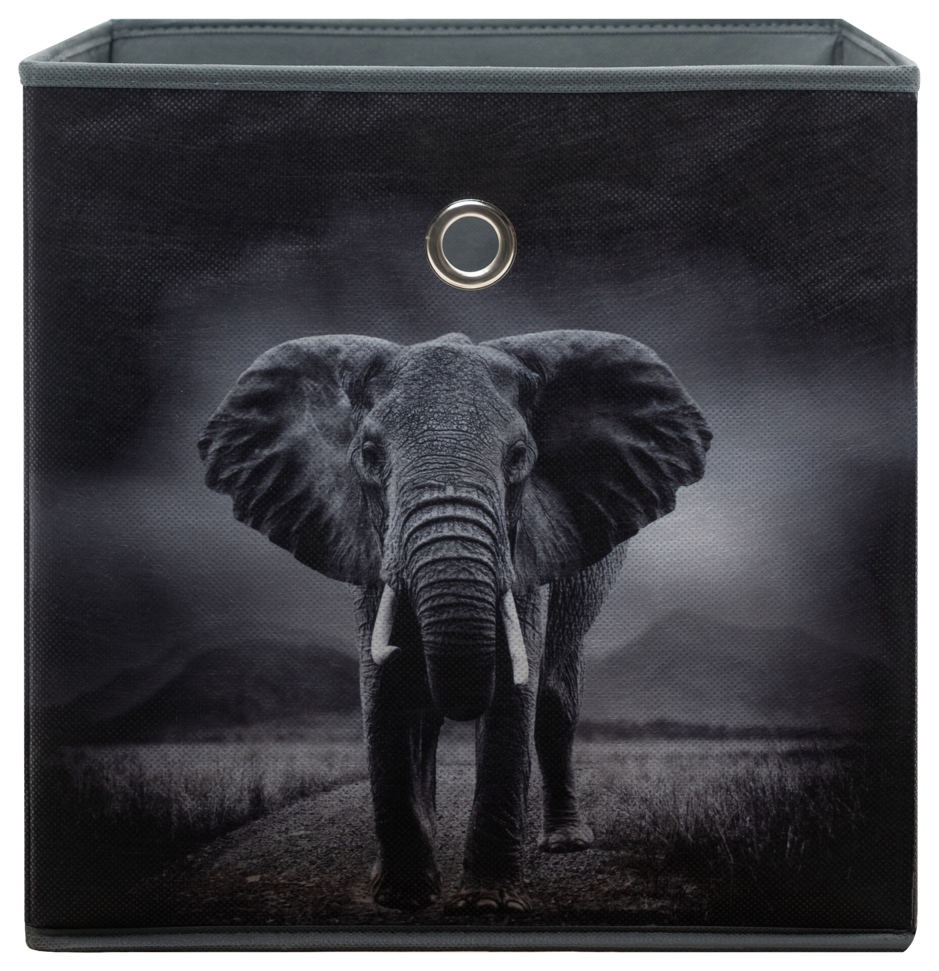 Motivbox Wildlife anthrazit B/H/T: ca. 32x32x32 cm