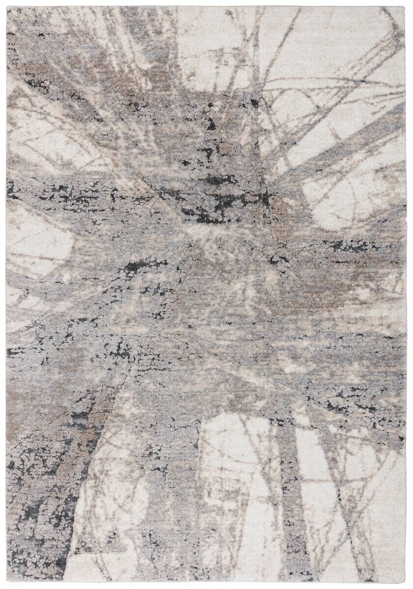 Obsession Teppich My Bologna grau B/L: ca. 120x170 cm