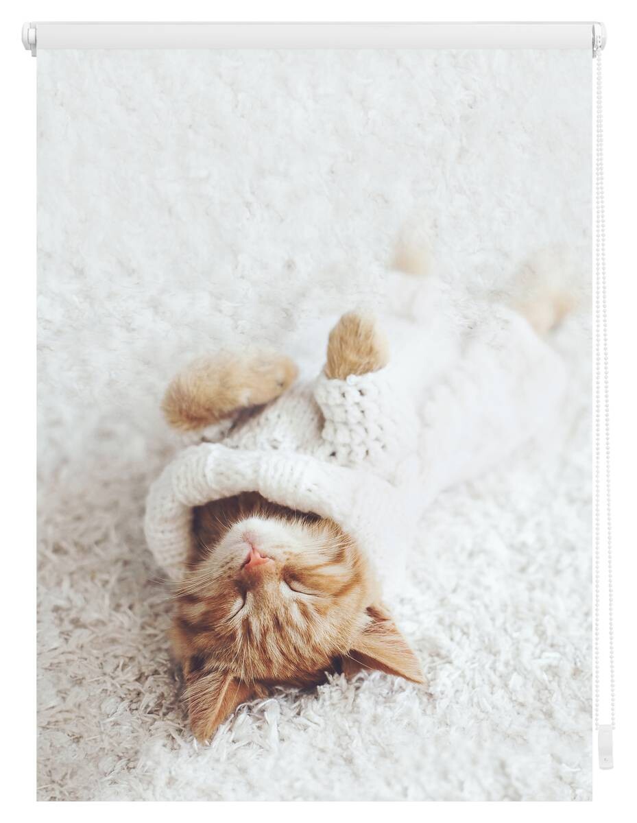LICHTBLICK Verdunkelungsrollo Sleepy Cat weiß B/L: ca. 90x150 cm