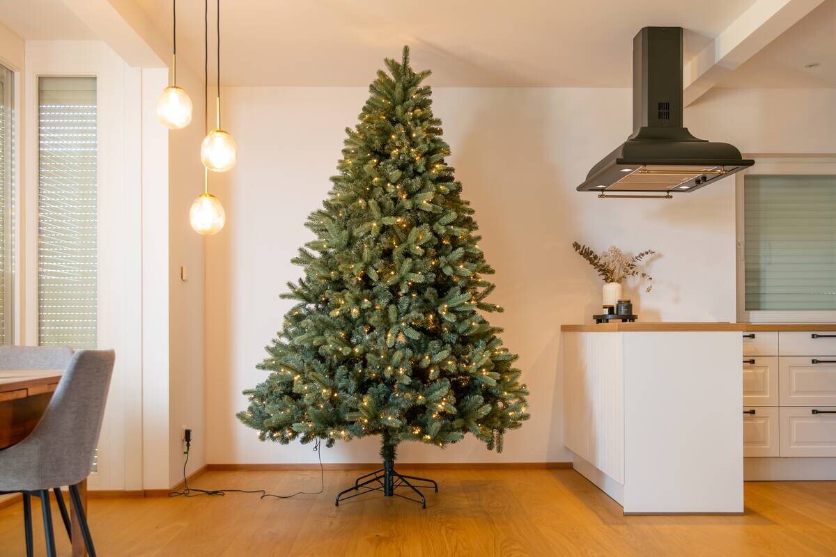 Evergreen Weihnachtsbaum Vermont Fichte