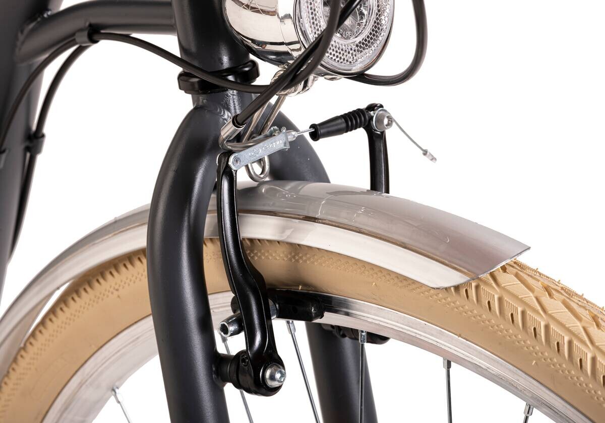 DaCapo Damenfahrrad Casino 168C 28 Zoll Rahmenhöhe 48 cm 6 Gänge anthrazit anthrazit ca. 28 Zoll