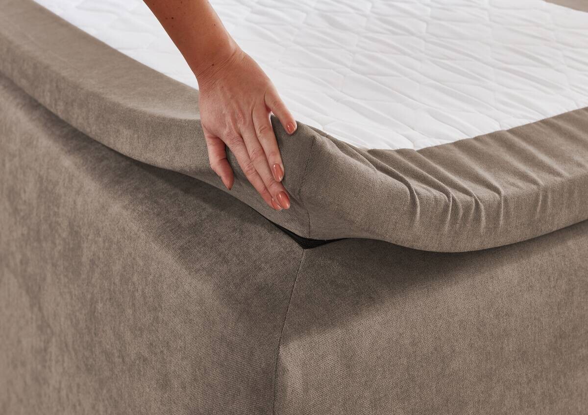 Boxspringbett Jeff taupe B/H/T: ca. 100x57x211 cm