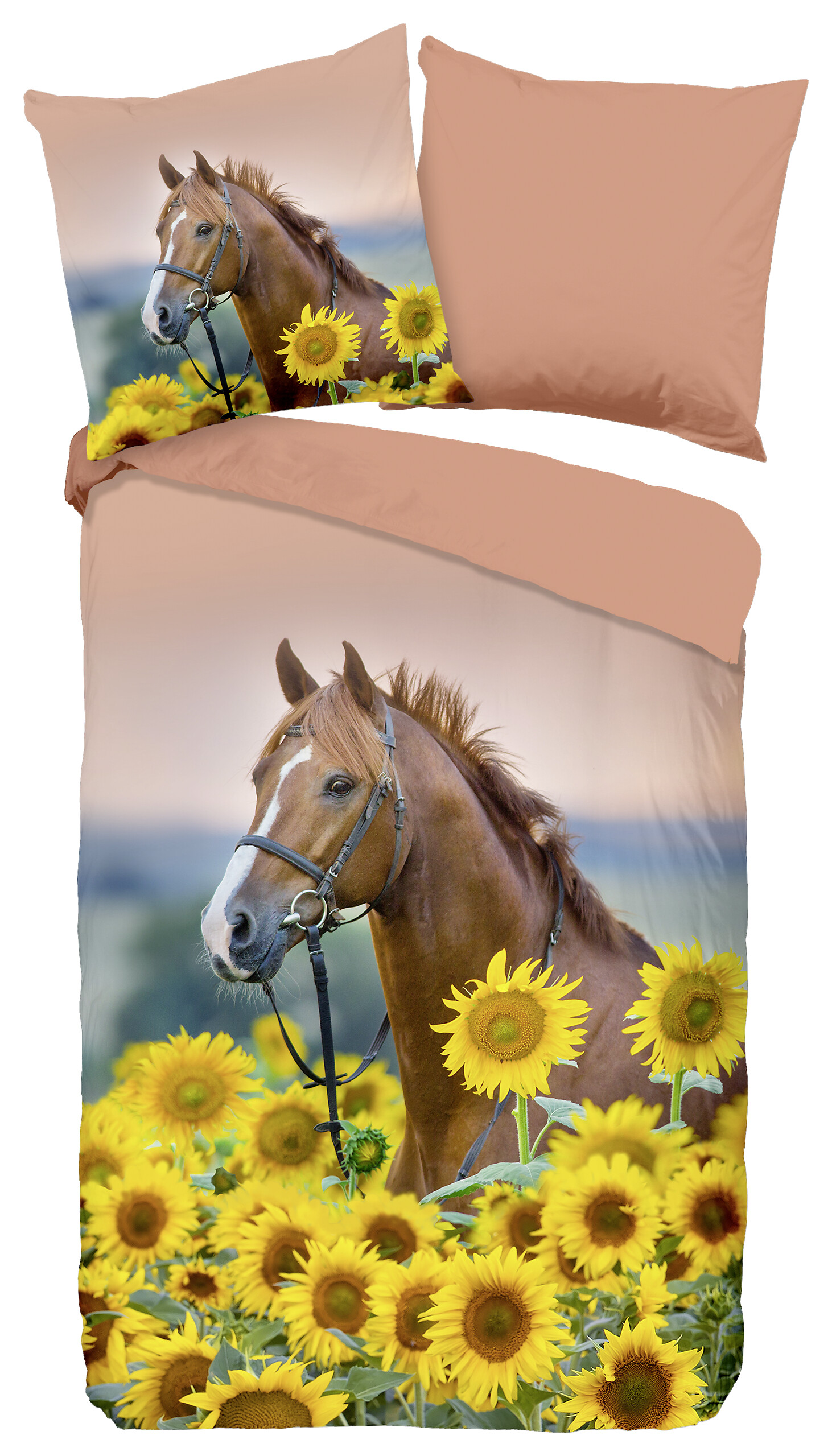 Baumwoll Bettwäsche Beauty Renforce