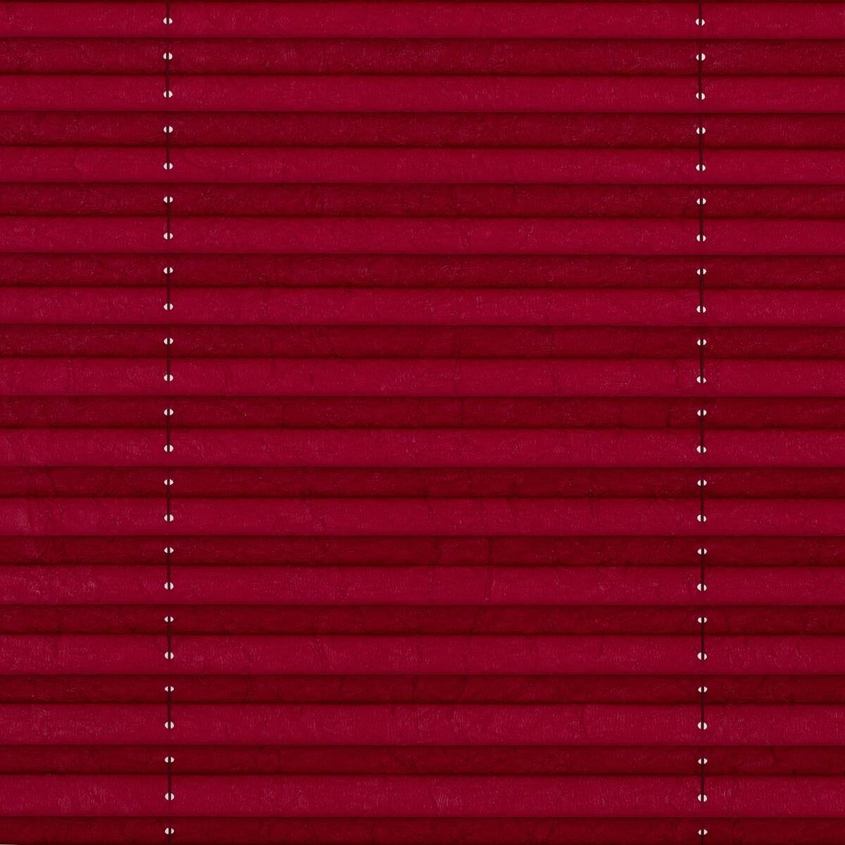 LICHTBLICK Spannplissee brombeer B/L: ca. 95x130 cm